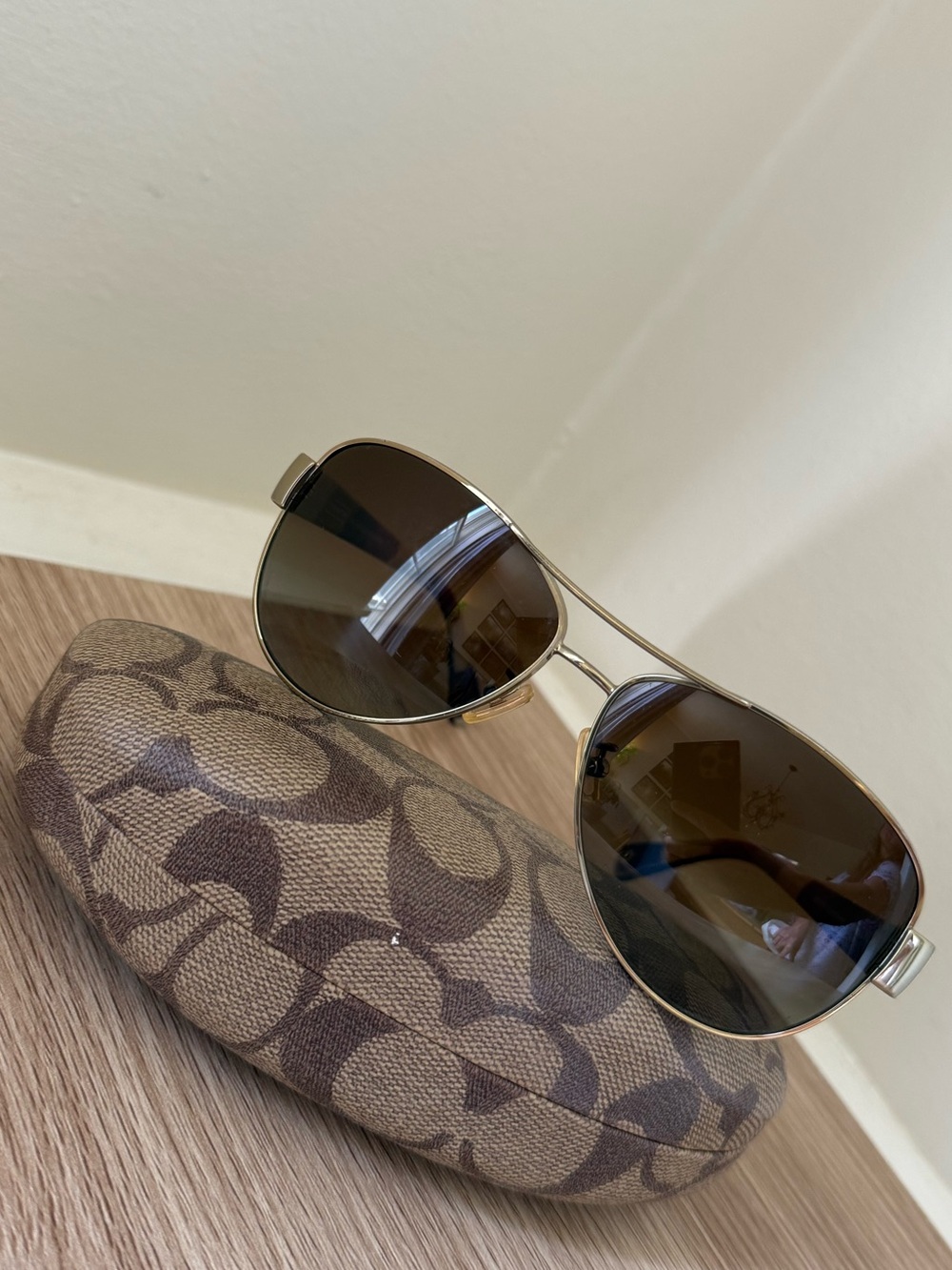 Aviator Sunglasses with Brown Lenses and Gold Frame